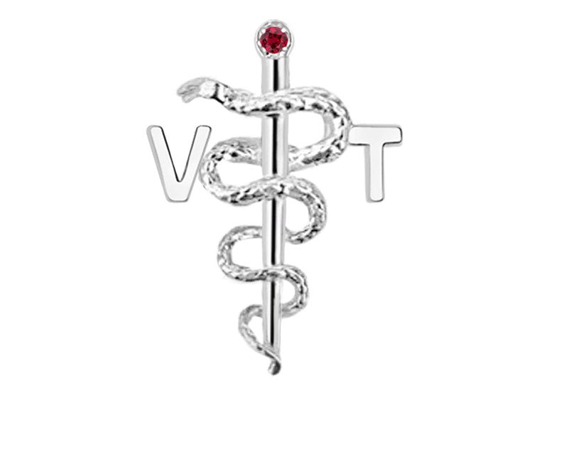 Vet Tech VT Graduation Pins Silver Gifts - NursingPin.com